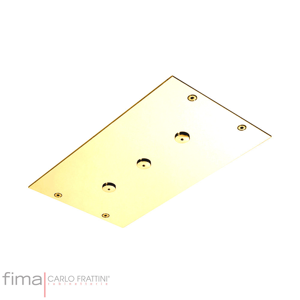 MODULAR SHOWERHEAD STAINLESS STEEL MIST SPRAYER - CEILING MOUNT