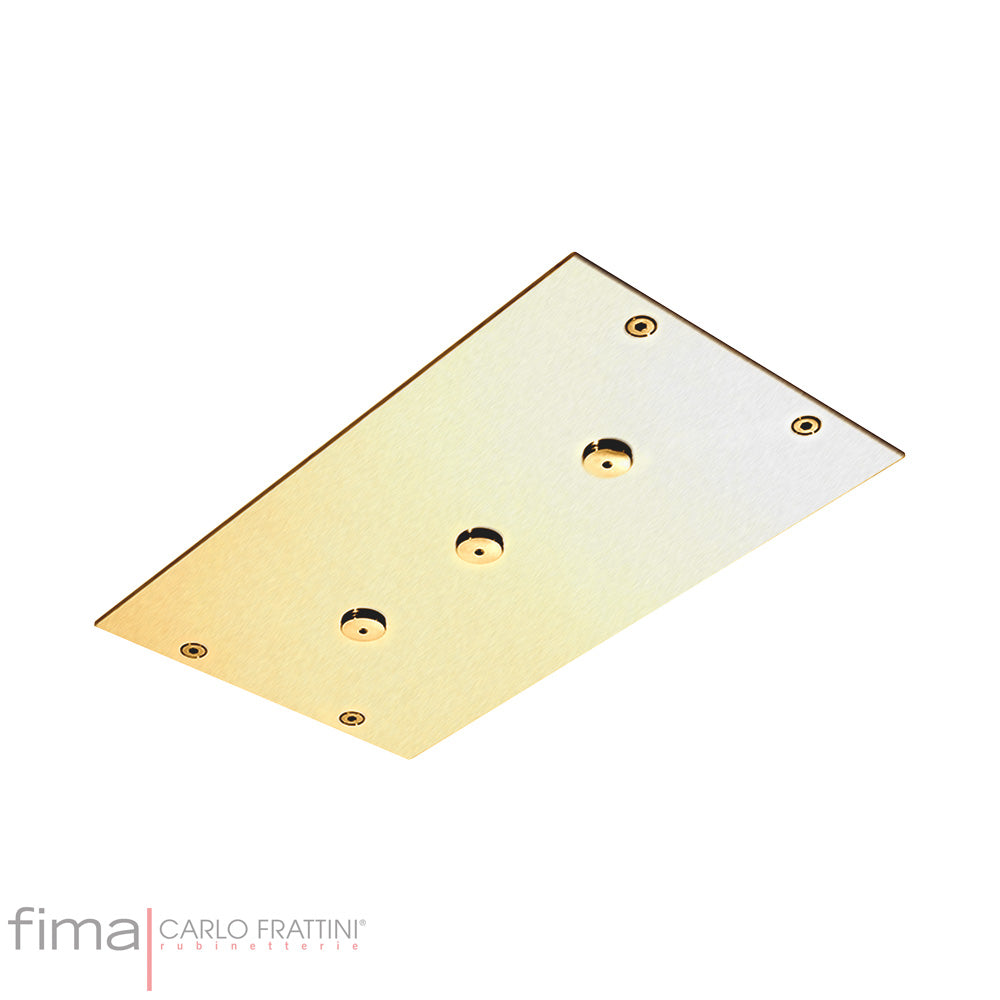 MODULAR SHOWERHEAD STAINLESS STEEL MIST SPRAYER - CEILING MOUNT